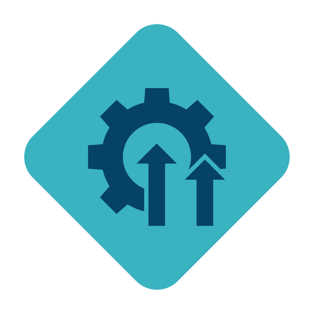 Process Mapping & Improvement